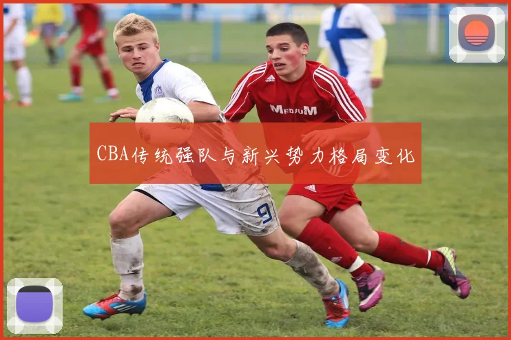 CBA传统强队与新兴势力格局变化